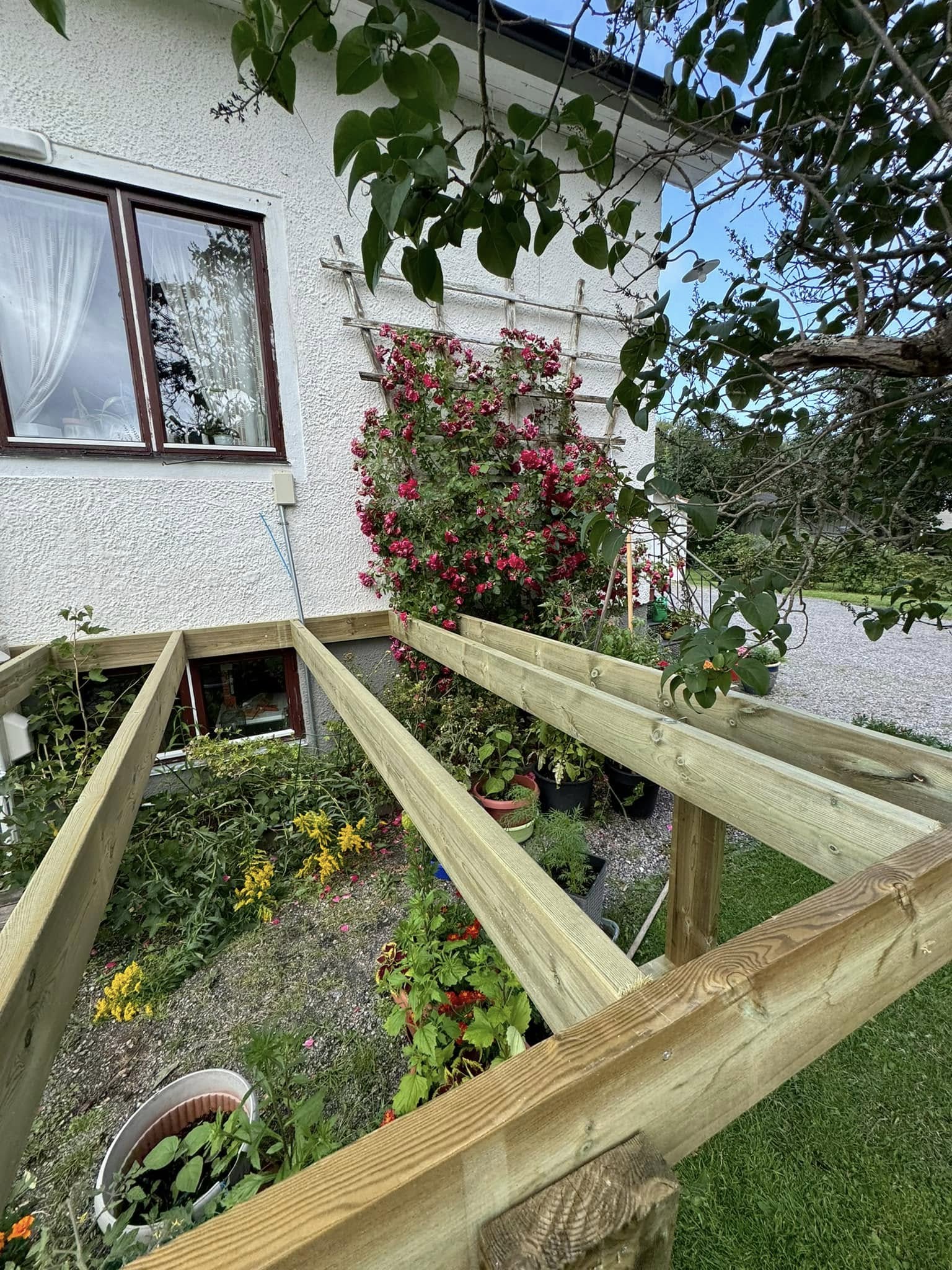 Professionellt altanbygge Söderhamn - nybyggd träaltan
